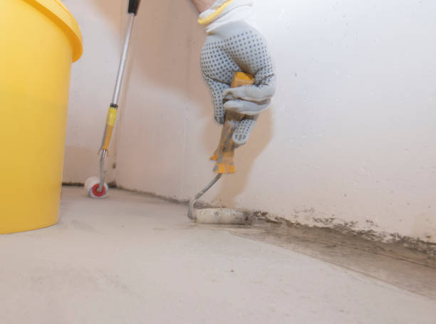 Best Pest Control for Multi-Family Homes  in Palos Park, IL